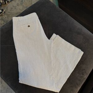 JCrew blue seersucker pants city fit sz10